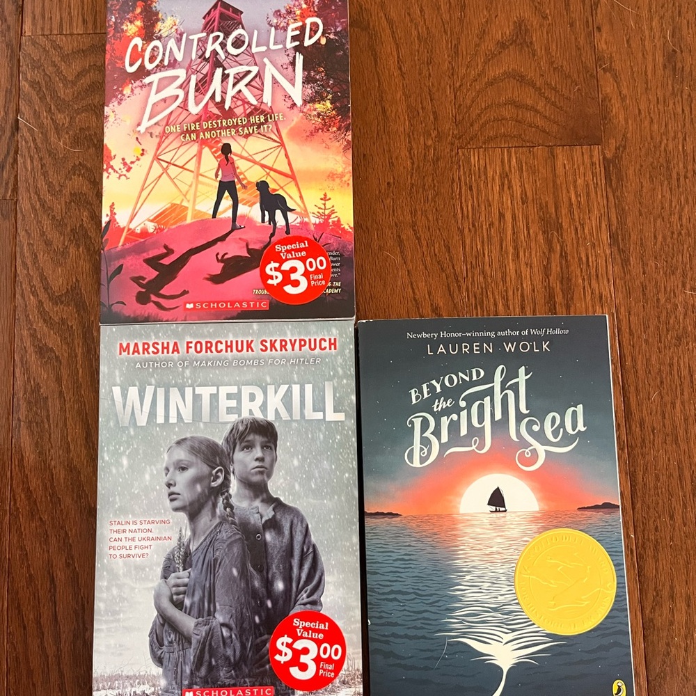 Scholastic Adventure Book Trio - Red, Blue, Gray Covers
